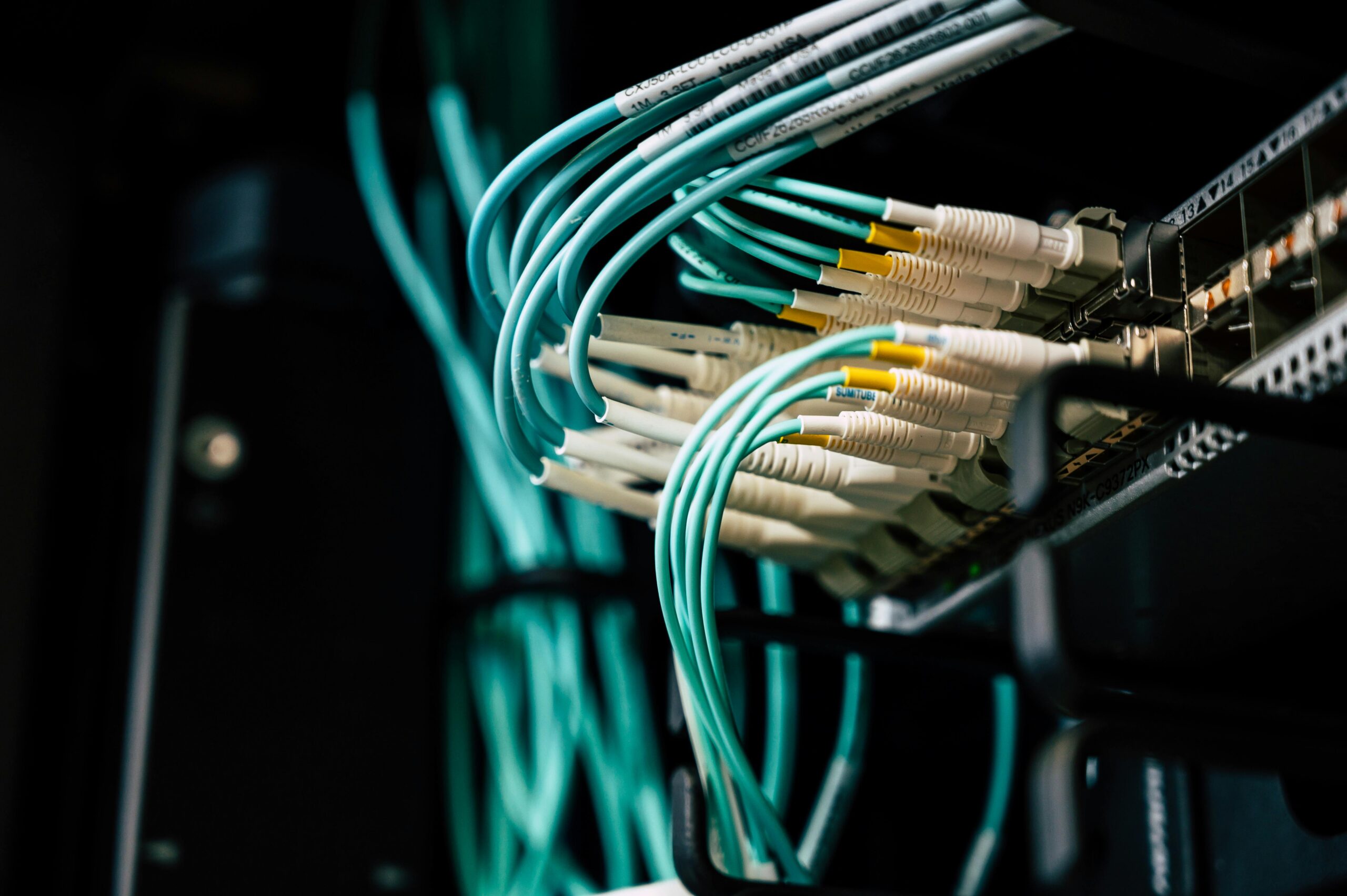 Network cables connected on a server