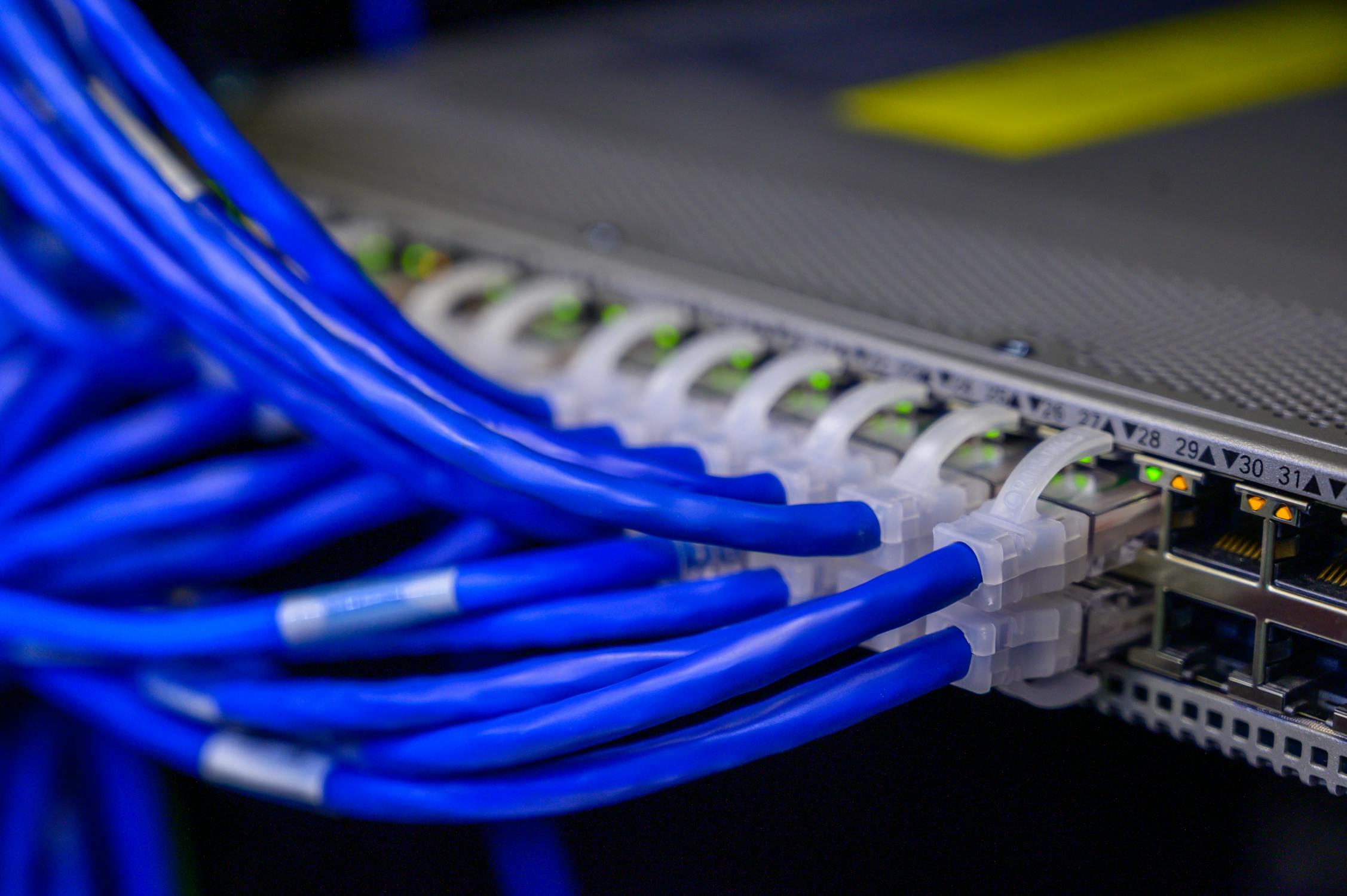 Network cables connected to ethernet ports on a patch panel