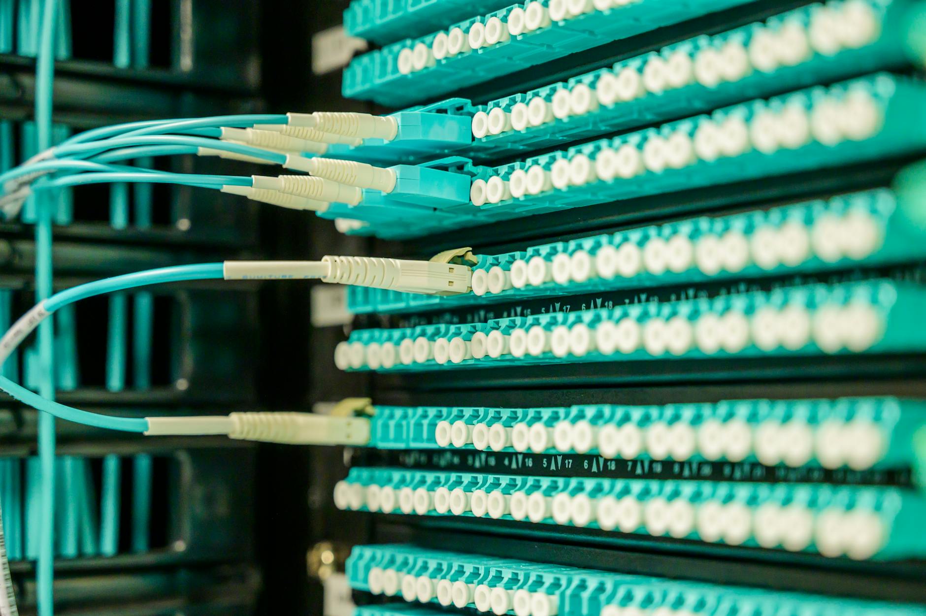 Nginx Proxy Manager Docker Setup | ReadTheManual