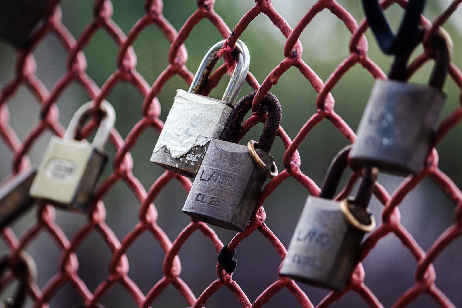 Dozens of padlocks fastened to a wire fence, representing the explosion of machine identities