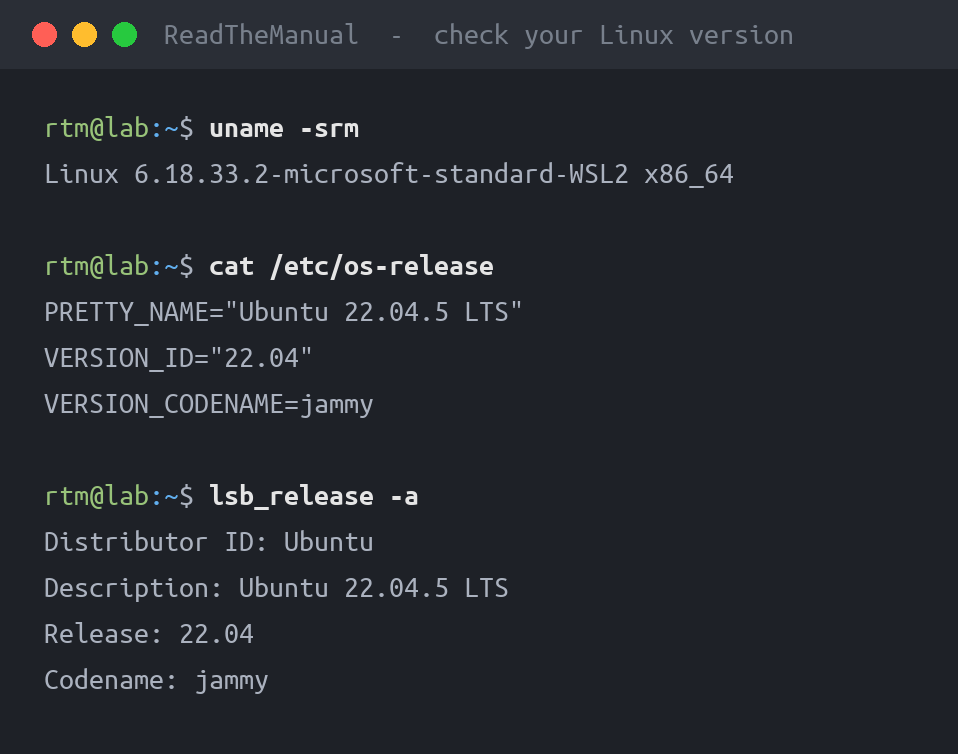Terminal showing uname, /etc/os-release and lsb_release output identifying the Linux version