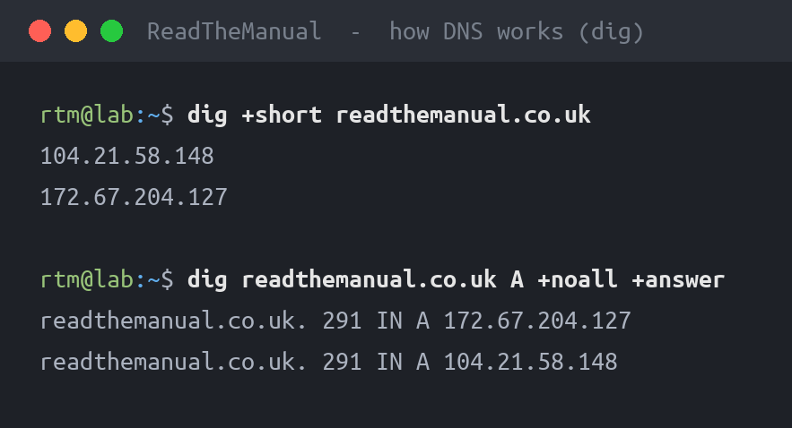 Terminal showing dig resolving DNS records for a domain