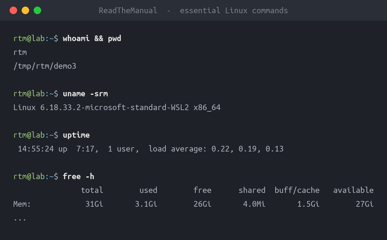 Terminal showing whoami, uname, uptime, free and df output - core Linux commands