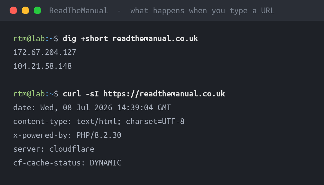 Terminal showing dig resolving a domain and curl fetching HTTP response headers